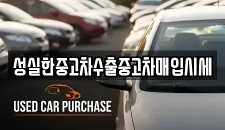 대전 서구 괴정동 중고차매입 전문 성실한중고차수출중고차매입시세