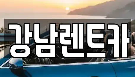 대전 유성구 대정동 렌트카 전문 강남렌트카