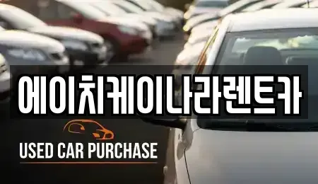 대전 유성구 대정동 렌트카 전문 에이치케이나라렌트카