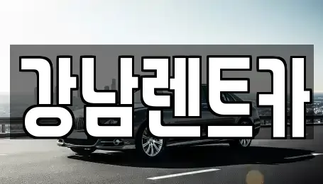 대전광역시 대덕구 와동 렌트카 전문 강남렌트카