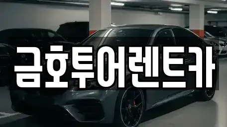부산 사하구 신평동 렌트카 전문 금호투어렌트카