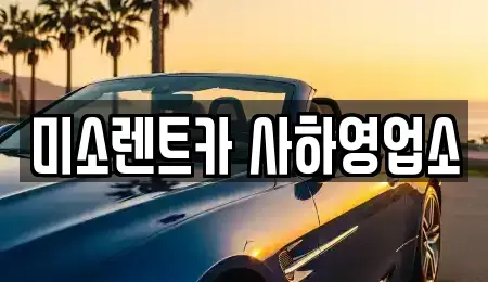 부산 사하구 신평동 렌트카 전문 미소렌트카 사하영업소