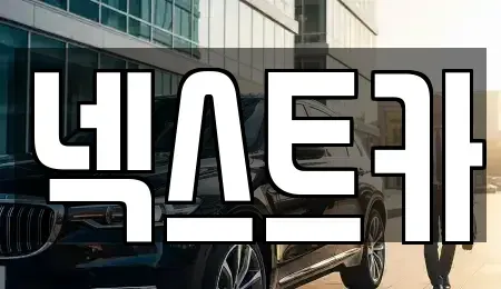 부산 사하구 신평동 장기렌트카 전문 넥스트카