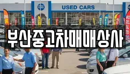 부산 사하구 신평동 중고차매매 전문 부산중고차매매상사