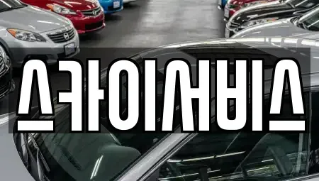 부산 사하구 신평동 중고차매매 전문 스카이서비스