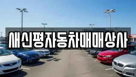 부산 사하구 신평동 중고차매입 전문 새신평자동차매매상사