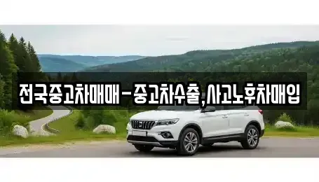 부산 사하구 신평동 중고차매입 전문 전국중고차매매-중고차수출,사고노후차매입
