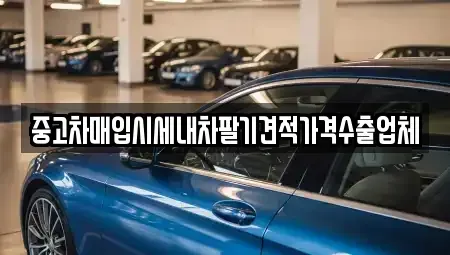 부산 사하구 신평동 단기렌트카,중고차매입,중고차매매,중고차,렌트카,장기렌트카