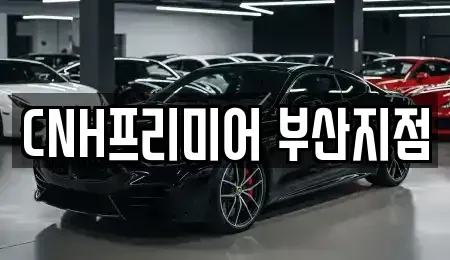 부산 중구 광복동2가 렌트카 전문 CNH프리미어 부산지점