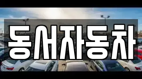 부산 중구 광복동2가 중고차 전문 동서자동차