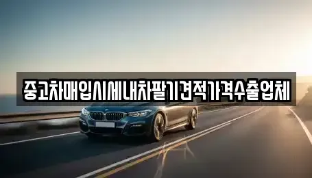 부산광역시 부산진구 당감동 중고차 전문 중고차매입시세내차팔기견적가격수출업체