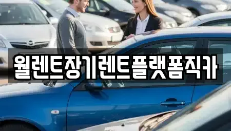 서울 서대문구 천연동 장기렌트카 전문 월렌트장기렌트플랫폼직카