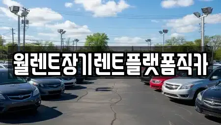 서울 서대문구 천연동 장기렌트카 전문 월렌트장기렌트플랫폼직카