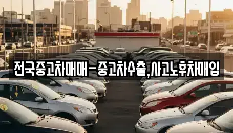 서울 서대문구 천연동 중고차매입 전문 전국중고차매매-중고차수출,사고노후차매입