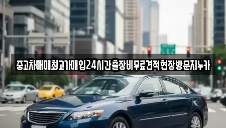 서울 서대문구 천연동 중고차매입 전문 중고차매매최고가매입24시간출장비무료견적현장방문지누카