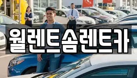 서울 송파구 신천동 렌트카 전문 월렌트솜렌트카