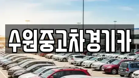 서울 송파구 신천동 중고차매매,단기렌트카,중고차매입,장기렌트카,중고차,렌트카