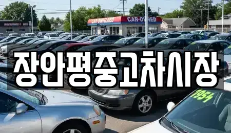 서울 송파구 신천동 중고차매매 전문 장안평중고차시장