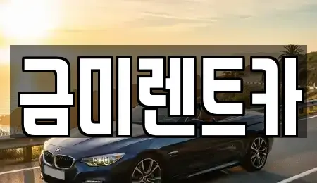 서울 종로구 궁정동 렌트카 전문 금미렌트카