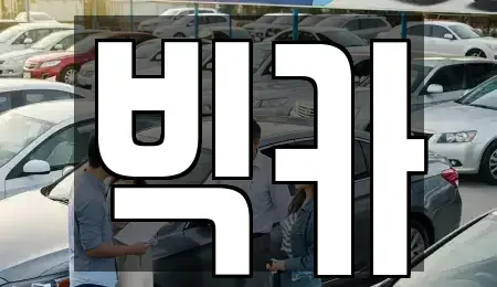 서울 종로구 궁정동 렌트카 전문 빅카