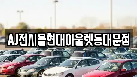 서울 종로구 충신동 렌트카 전문 AJ전시몰현대아울렛동대문점