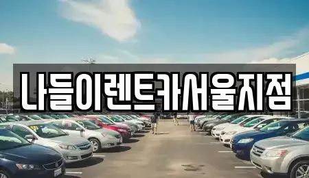 서울 종로구 충신동 렌트카 전문 나들이렌트카서울지점