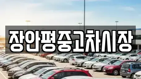서울 종로구 충신동 중고차매매 전문 장안평중고차시장
