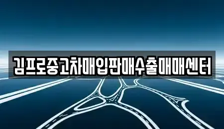 서울 종로구 충신동 중고차매입 전문 김프로중고차매입판매수출매매센터