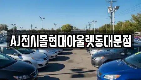 서울 중구 오장동 렌트카 전문 AJ전시몰현대아울렛동대문점