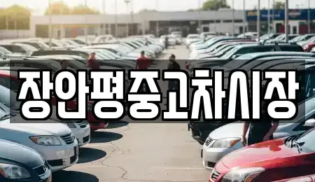 서울 중구 오장동 중고차매매 전문 장안평중고차시장