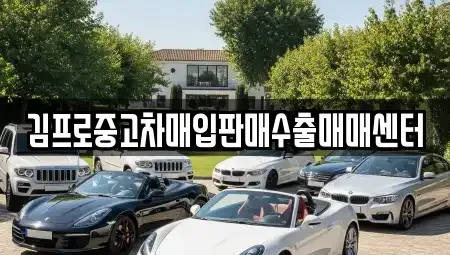 서울 중구 오장동 중고차매입 전문 김프로중고차매입판매수출매매센터