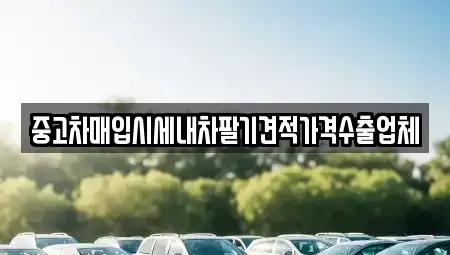 서울 중구 오장동 중고차매입 전문 중고차매입시세내차팔기견적가격수출업체