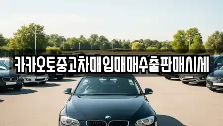 서울 중구 오장동 중고차매입 전문 카카오토중고차매입매매수출판매시세