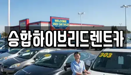 서울특별시 노원구 단기렌트카 전문 승합하이브리드렌트카