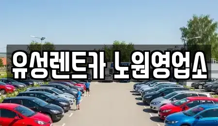 서울특별시 노원구 렌트카 전문 유성렌트카 노원영업소