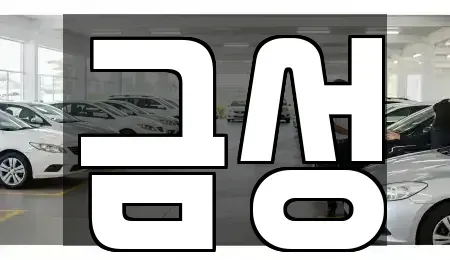 서울특별시 노원구 월계동 렌트카 전문 금성