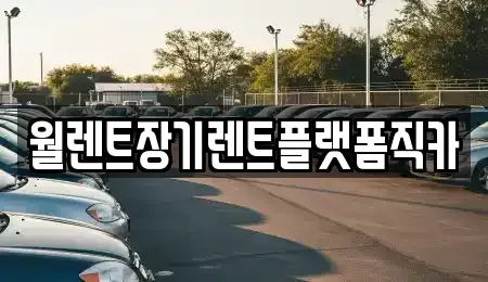 서울특별시 노원구 월계동 장기렌트카 전문 월렌트장기렌트플랫폼직카