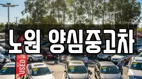 서울특별시 노원구 중고차 전문 노원 양심중고차