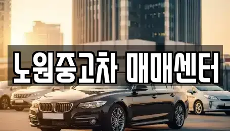 서울특별시 노원구 중고차 전문 노원중고차 매매센터