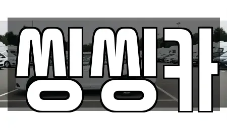 서울특별시 노원구 중고차 전문 씽씽카