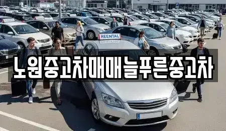 서울특별시 노원구 중고차매매 전문 노원중고차매매늘푸른중고차