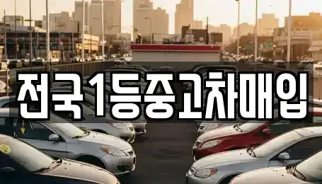 서울특별시 노원구 중고차매입 전문 전국1등중고차매입
