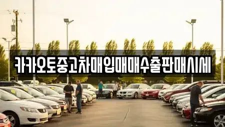 서울특별시 노원구 중고차매입 전문 카카오토중고차매입매매수출판매시세