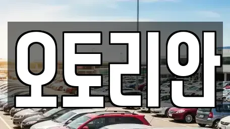 서울특별시 서대문구 중고차 전문 오토리안