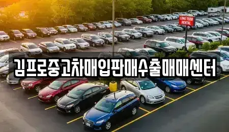 서울특별시 서대문구 중고차매입 전문 김프로중고차매입판매수출매매센터