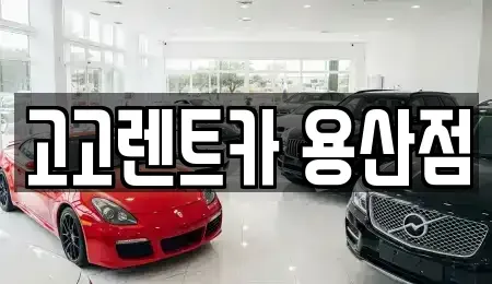 서울특별시 용산구 렌트카 전문 고고렌트카 용산점