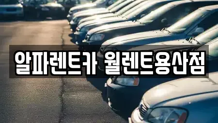 서울특별시 용산구 렌트카 전문 알파렌트카 월렌트용산점