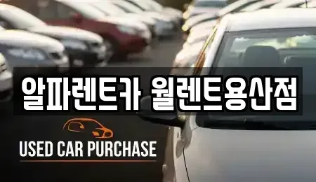 서울특별시 용산구 신계동 렌트카 전문 알파렌트카 월렌트용산점