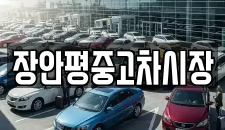 서울특별시 용산구 신계동 중고차 전문 장안평중고차시장