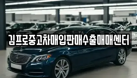 서울특별시 용산구 중고차매입 전문 김프로중고차매입판매수출매매센터